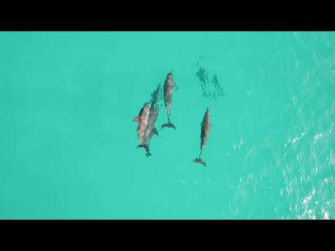 Sailing Maldives - Haa Alif & Ihavandhippolhu Atoll