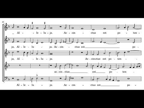Video thumbnail for Crucem sanctam subiit