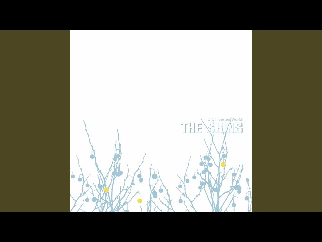 The Shins: La historia y el sonido de una banda influyente