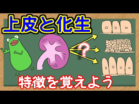 ペゴスカプスについて詳しく解説