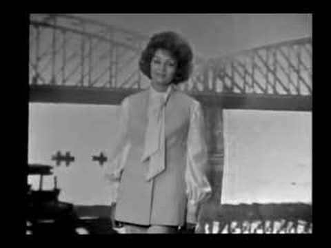 Houf bílých racků