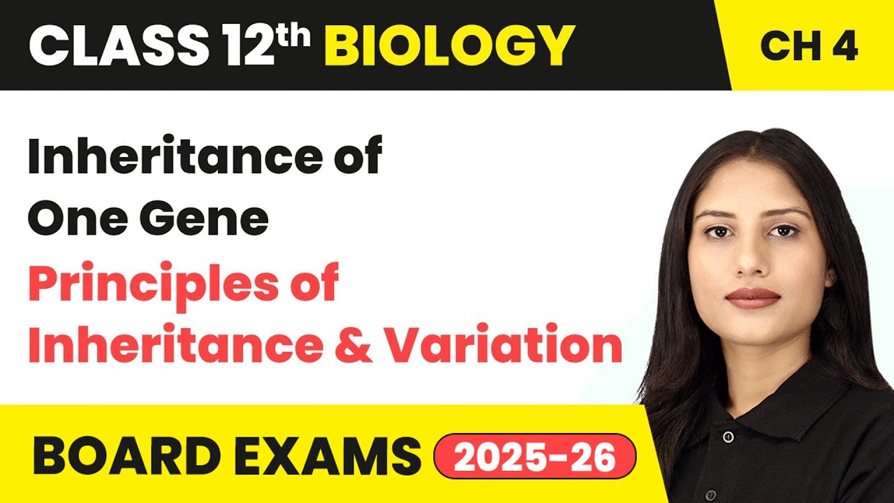 Inheritance of One Gene - Principles of Inheritance & Variation | Class 12 Biology Chapter 4 | CBSE