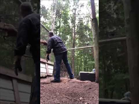 Dad Doing Dad Stuff: Episode 1 Raccoon