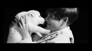 SHORT FILM - BTS | 백예린 "November song" - Baek Yerin