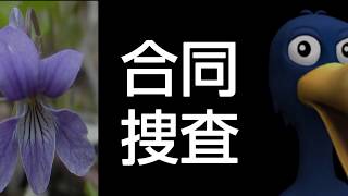 【論破】スズメオトシ vs 深山すみれ
