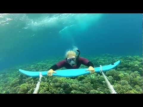 Dive Wing Extreme Snorkeling