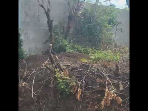 El refugio, Ahuachapán,El salvador #elsalvador