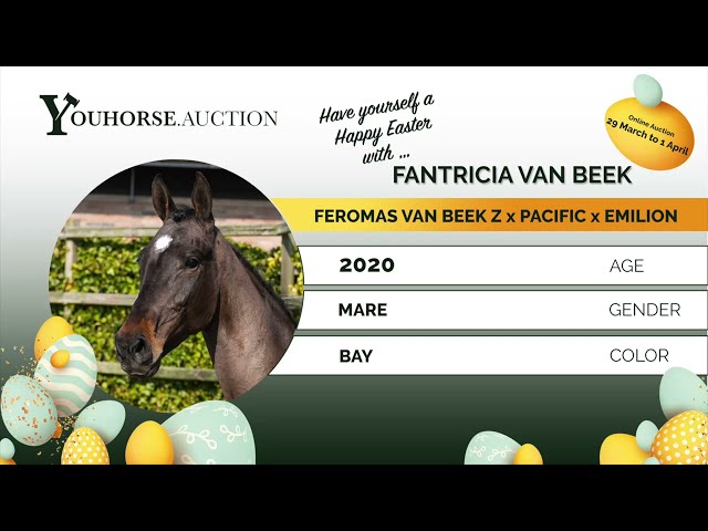 Fantricia van Beek Z