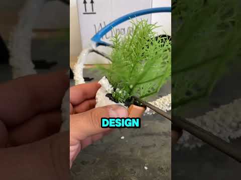 Ultimate Steering Wheel Transformation