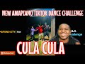 NEW AMAPIANO TIKTOK DANCE CHALLENGE - CULA CULA (OFFICIAL VIDEO) REACTION