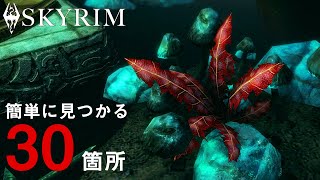 【SKYRIM】とにかく簡単にクリムゾン・ニルンルートを30個集めたい！【解説】