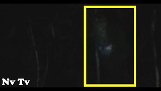 BigFoot 2017 - EERIE!! CAMPER FILMS A REAL MASSIVE BIGFOOT!! - Arkansas, USA (2012) - HD