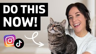 Make Your Pet FAMOUS in 3 Steps (UPDATED for 2026!)