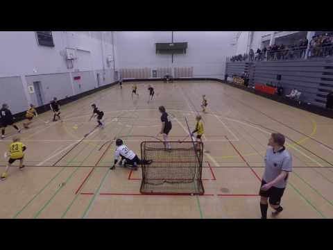 2017-02 Kuopio: Varta-03 vs. Welhot 04, alempi jatkosarja 03-sarjassa , 8-3 voitto