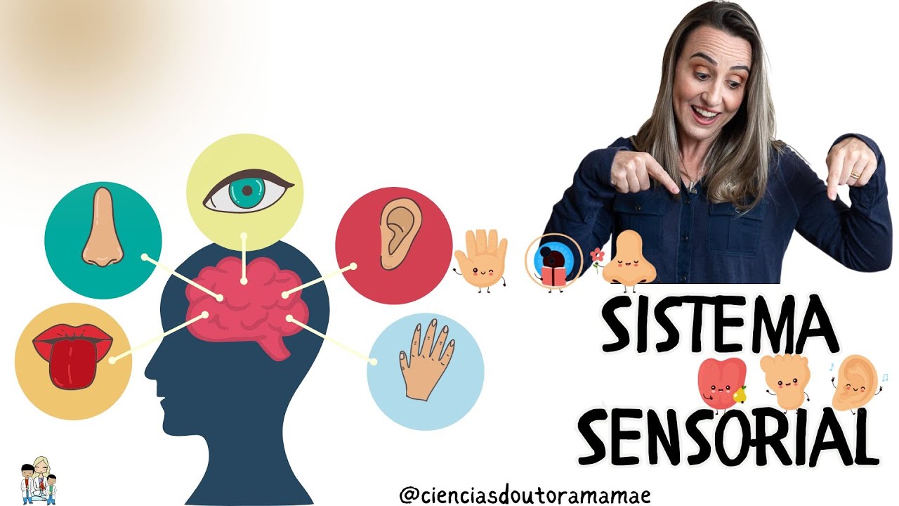 Sistema Sensorial- Órgãos dos Sentidos 6º ano fundamental