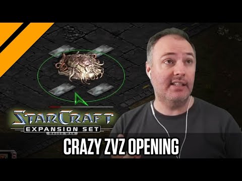 Das verrückteste ZvZ-Opening, das ich seit Jahren gesehen habe.