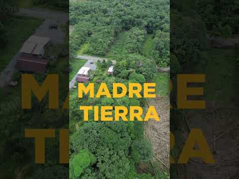 Se vende terreno en Madre Tierra Puyo - Mera 1700 m2 #amazoníaecuador #pastaza  #rizzopropiedades