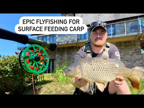 Fly fishing for BIG Carp!! Catching Carp off the surface with a fly