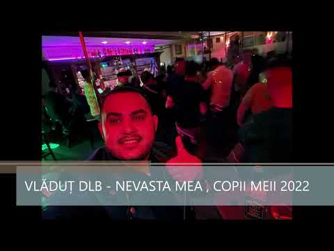 VLADUT DLB - NEVASTA MEA ,COPII MEI (DEDICATIE SPECIALA )