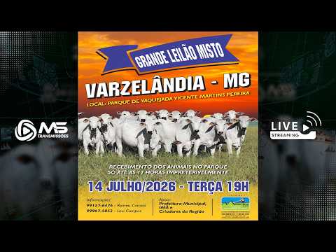 Leilão de Gado - Grande Leilão Misto Varzelândia MG