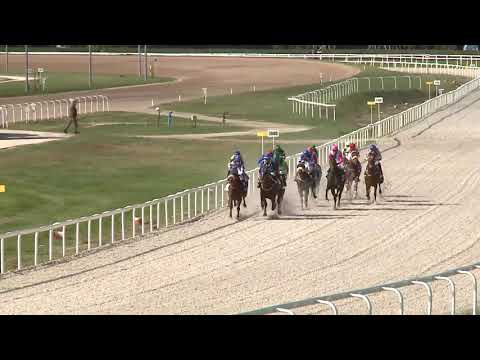 2020.10.18. 01. futam - NYERETLEN KÉTÉVESEK VERSENYE (IV.kat.) (szintetikus pálya)