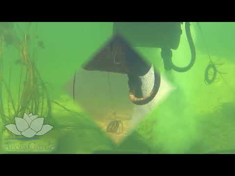 Watch Video on YouTube