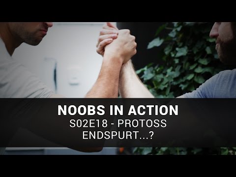 NiA S02E18 - Protoss - Endspurt...?
