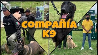 Así es un entrenamiento canino de la fuerza civil (COMPAÑÍA K9)