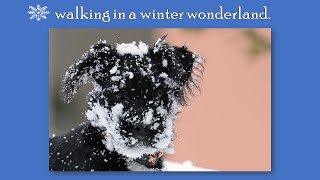 The Eurythmics - WINTER WONDERLAND (PETS version) - Lyric Video