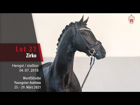Westf. Youngster-Auktion 25.- 29. März 2021 Lot 21 Zirko Hengst v. Zonik One - Florestan I