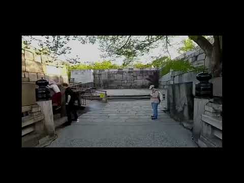 Vagrant Holiday playing Skyrim