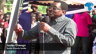 Raila is the father of devolution - Orengo