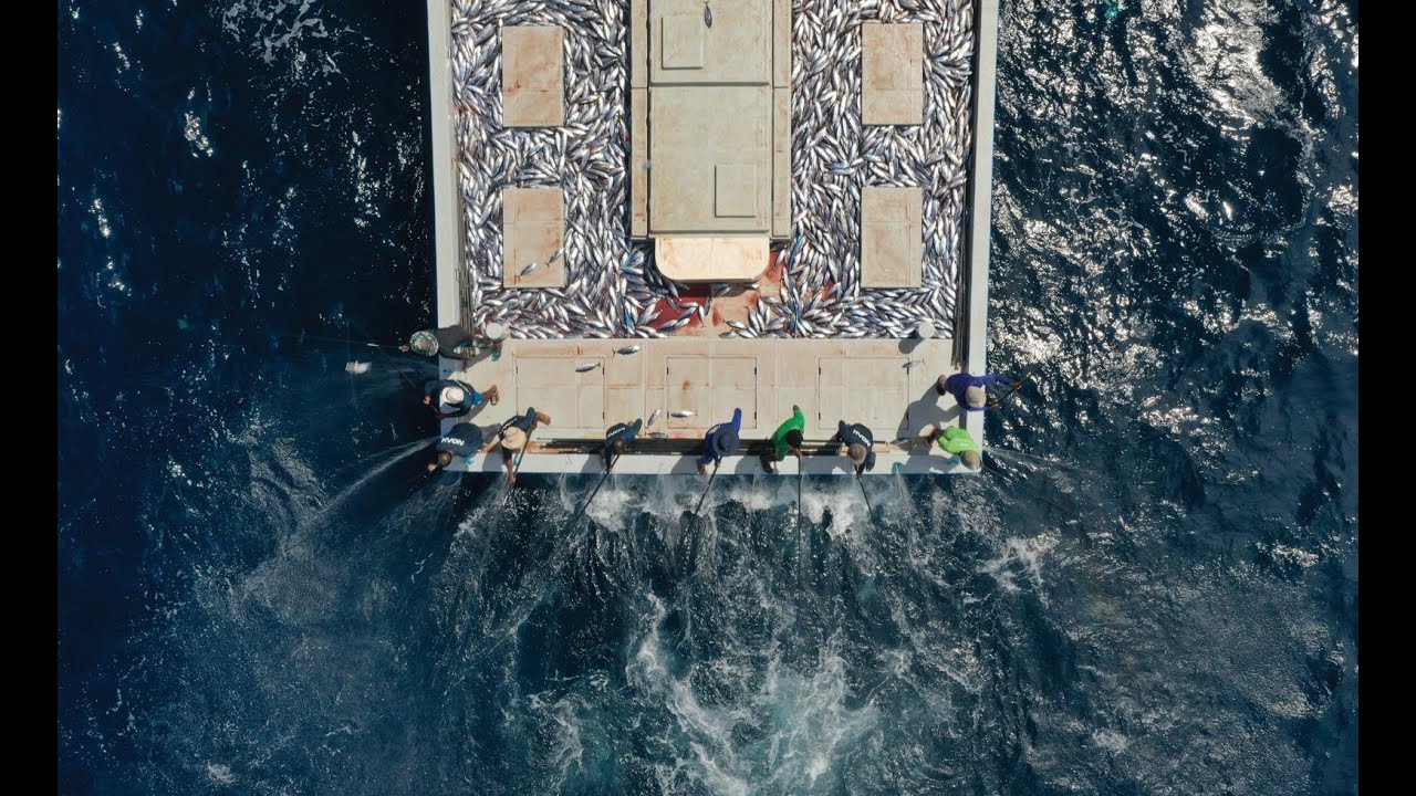 ރާއްޖޭގެ ނޫ އިގްތިސާދުގެ ސަގާފަތް ޑޮކިއުމެންޓްރީއަކުން