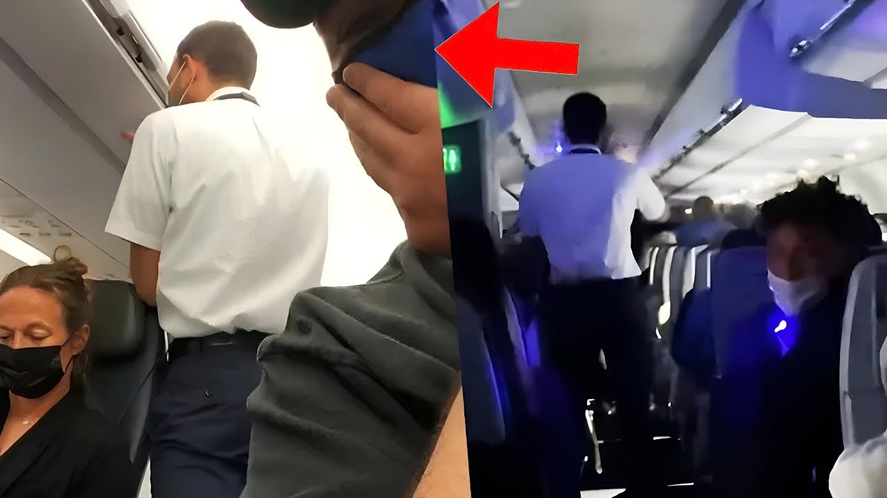 A Steward Slaps A Black Woman Not Knowing Who She Really Was