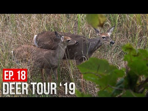 MICHIGAN PUBLIC LAND CHALLENGE! - Day 4: Overlooked Spots