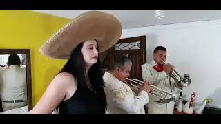 Video de Mariachis Uno A , Mezcal y Tequila
