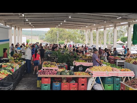 Feira livre de Brejinho PE em 10-04-26