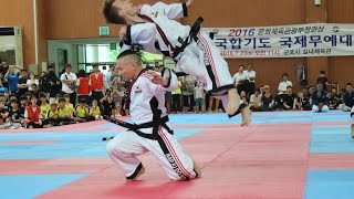 Download lagu Hapkido Austria (합기도 오스트리아) - International Championship Seoul 2016 mp3