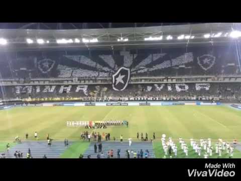 Botafogo Vs Olimpia Golaço do Rodrigo pimpão.