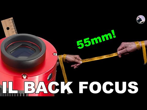 The BACK FOCUS | QUICK EXPLANATION