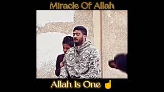 Miracle of Allah ☝️😳