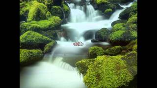 Spiritual Music - Eastern Harmony - In Silence