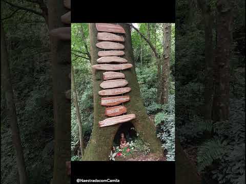 Gruta Nossa Senhora de Lourdes, Ituporanga