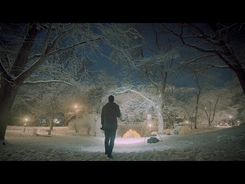 Did You Ever See A Dream Walking