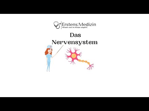 The Nervous System Part 1