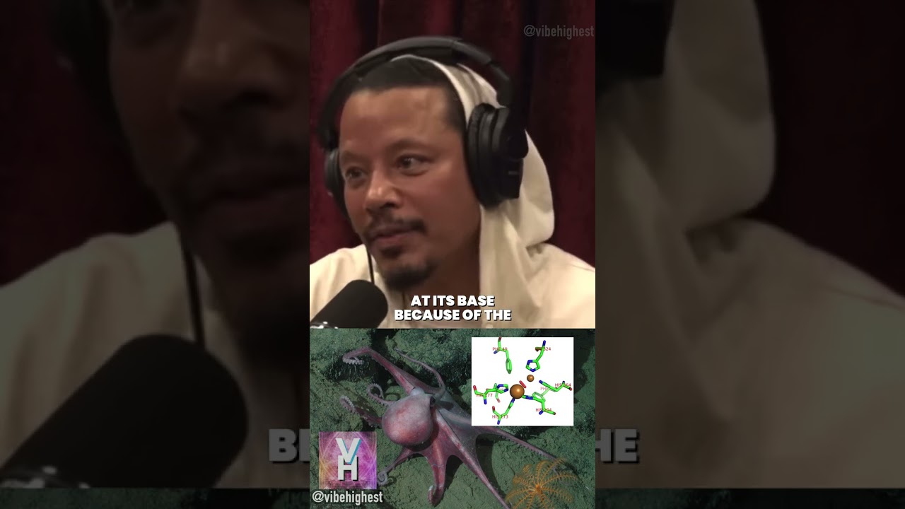 Hemoglobin and Chlorophyll: Biologic Coincidence? an Accident?! 🧬🧐🤔🔓🌌😱🧠🤯👽💯 #viral #shorts #reels