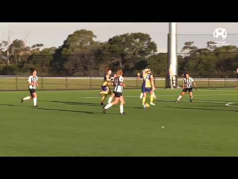 NPL NSW Women's Round 8 Highlights - Northern Tigers FC v Sydney University SFC