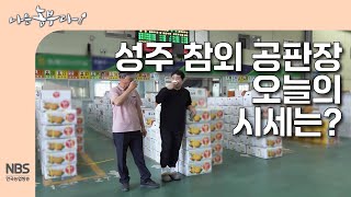 [나는농부다 304회]성주 참외 공판장 오늘의 시세는?