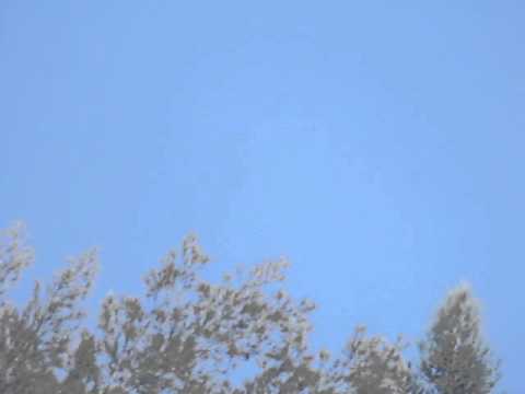 OVNIS en Rounders Vs Solar Vision Guadalajara