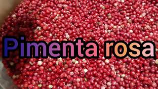 Pimenta Rosa , os principais benefícios